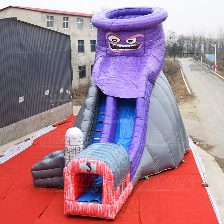 inflatable purple bug twister slide 2
